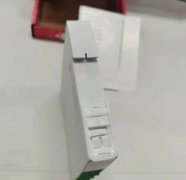  Carlo gavazzi  SMS31佳乐安全继电器  NES13DB24SA